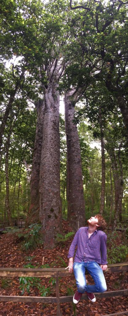 Jochem naast de Nieuw-Zeelandse Kauri boom, het onderwerp van zijn Rubicon-onderzoek