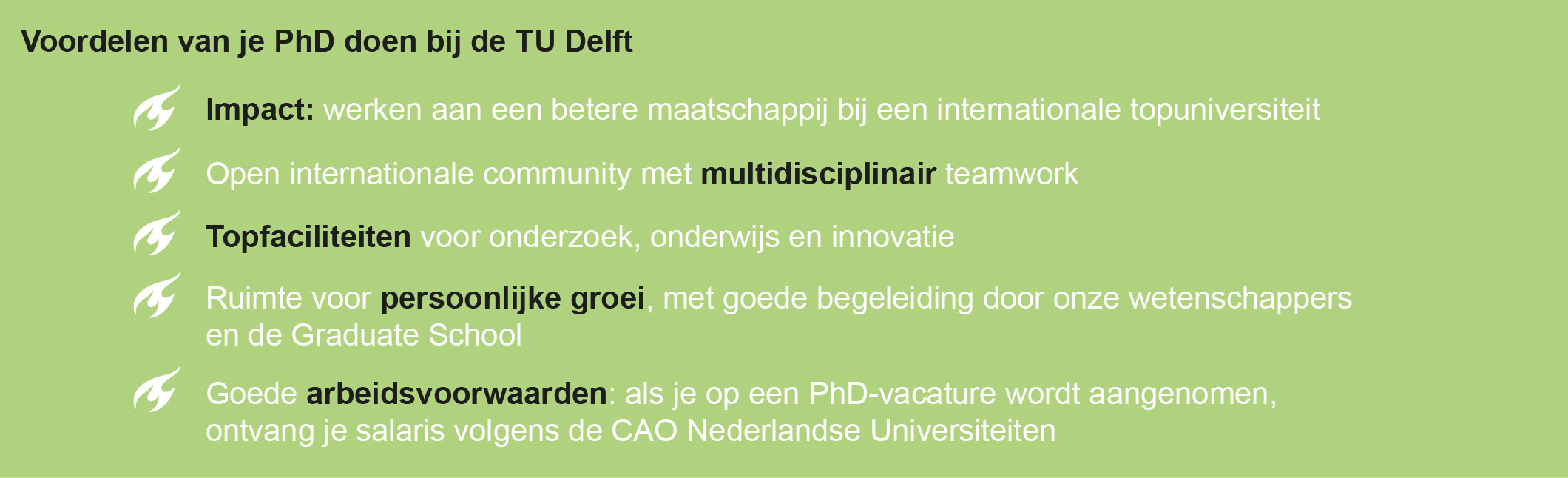 Voordelen van je PhD doen bij de TU Delft
