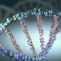 Delftse onderzoekers bouwen kunstmatig chromosoom