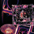 Nastaran Barin has developed a promising tool for studying brain cancer mechanobiology