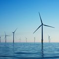 TU Delft start project ‘Wind Farm Flow Control’ project