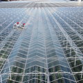 This physicist’s greenhouse-coatingincreases crop harvest