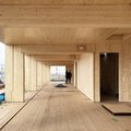 Building in timber is bad for the environment. Fact or fiction?