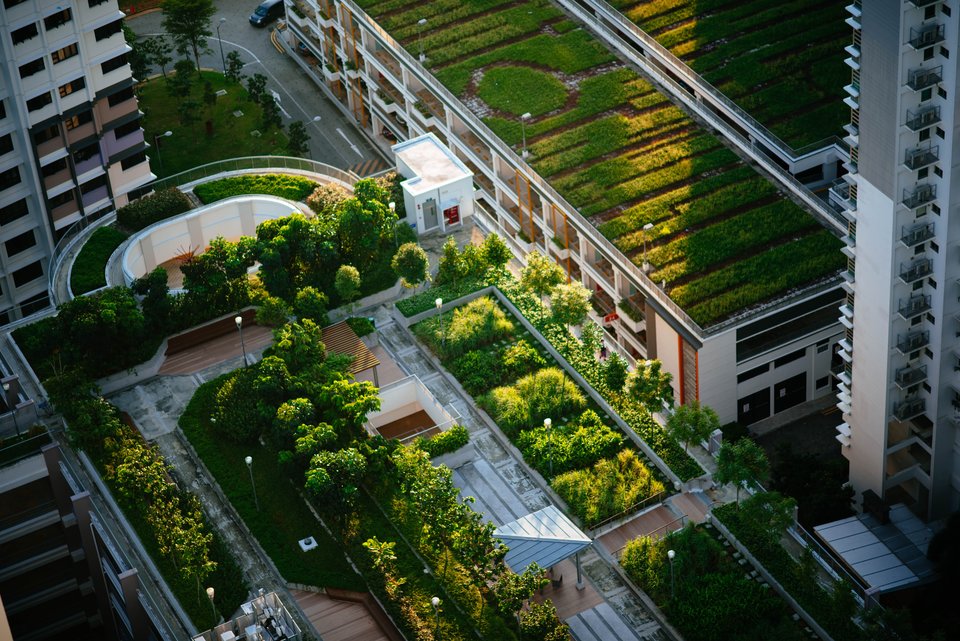 [Translate to English:] Green roofs on buildings
