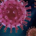 TBM onderzoek rondom het coronavirus, waaronder PWE