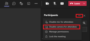 click disable camera for attendees