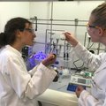 ERC Advanced Grant for chemical dream reactions with enzymes