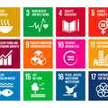 MOOCs for UN SDGs