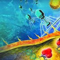 Nieuw CRISPR-Cas systeem knipt virus RNA