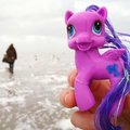 Oceanograp­hers in the wake of My Little Ponies
