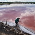 Newly discovered ‘Siberian’ soda lake micro-organisms convert organic material directly into methane