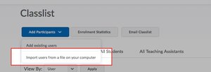 Choose "Import users from a file on your computer" under "Add Participants"